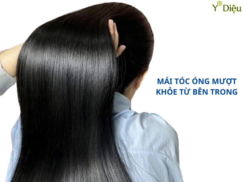 Dầu Gội Nhuộm Tóc Thảo Dược Cho Mái Tóc Đẹp Tự Nhiên