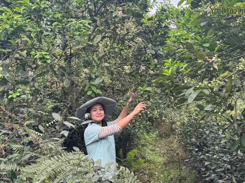Xem Ảnh Lớn