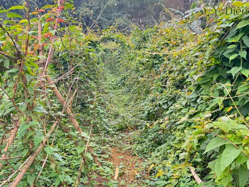 Xem Ảnh Lớn