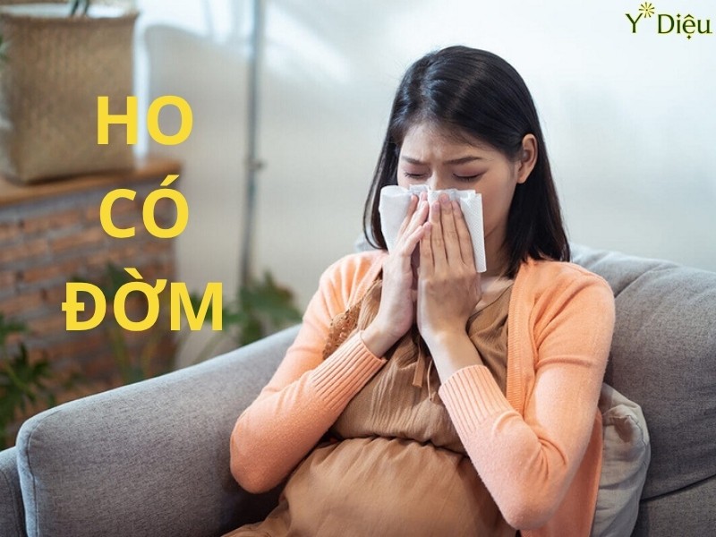 Củ cải trắng trị ho có đờm cho kết quả cao