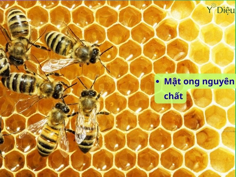 Mật ong và các thảo mộc có tác dụng làm dịu cổ họng, giảm ho và tăng cường miễn dịch.