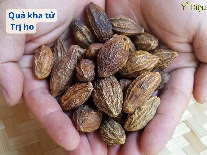Siro Ho Kha Tử Y Diệu là sản phẩm siro ho thảo dược được bào chế từ quả Kha tử 