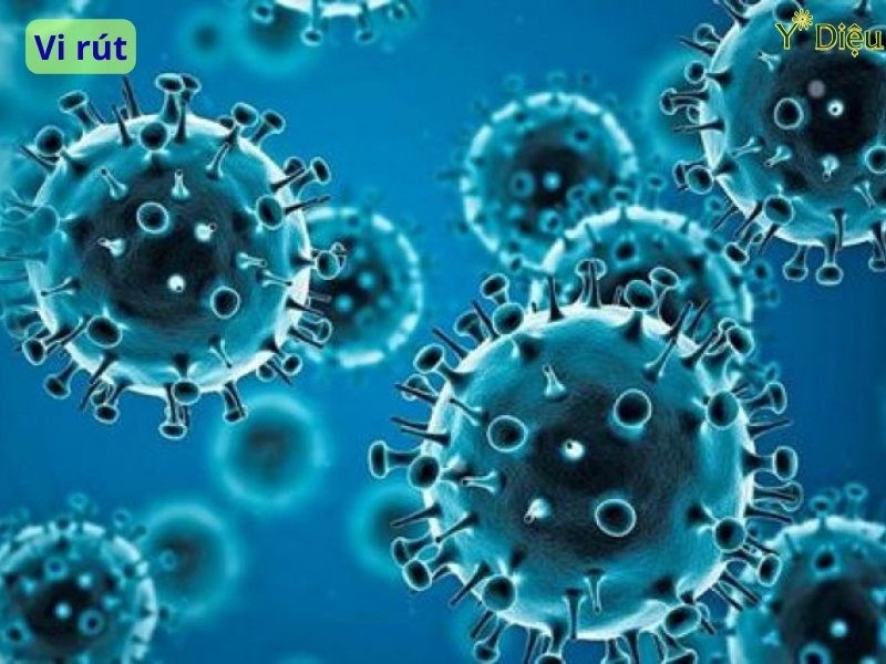 Vi Rút Là Gì? Giải Mã Bí Ẩn Vi Rút Trong Cuộc Sống Hàng Ngày